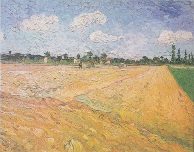 Geploegd veld door Vincent van Gogh